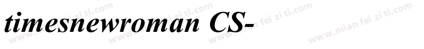 timesnewroman CS字体转换
